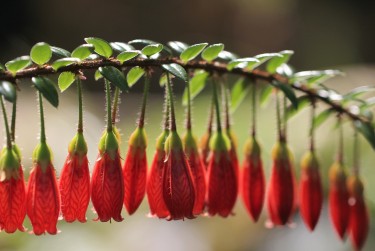 广州天河区7私人快速借钱网，轻松解决资金难题