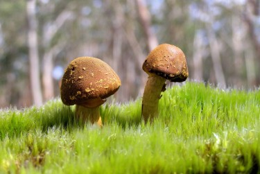 广州天河区7私人老板放款：轻松融资的秘密通道